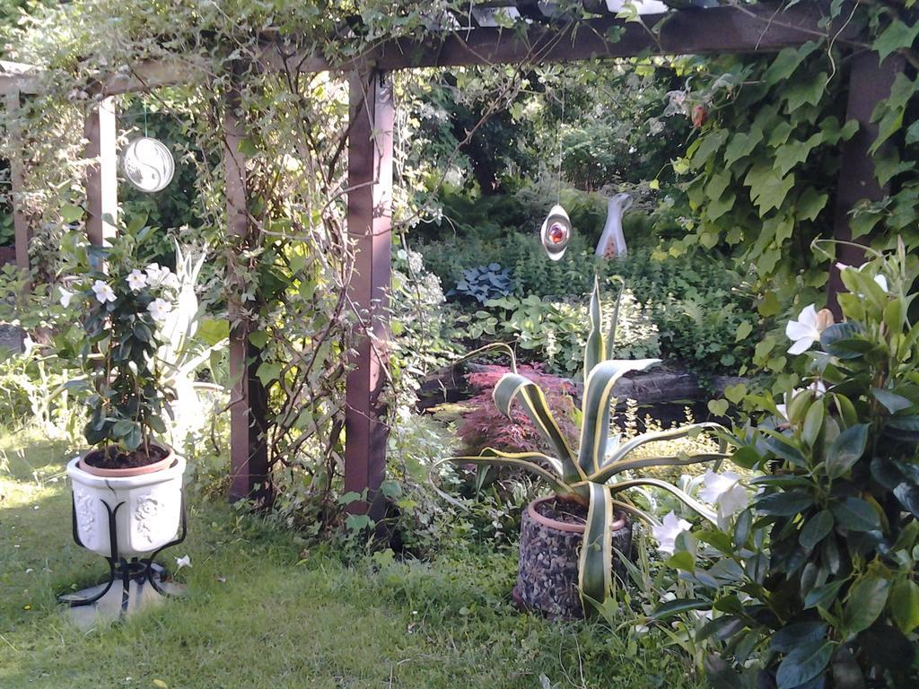 Gartenhaus Steffie Potsdam Esterno foto
