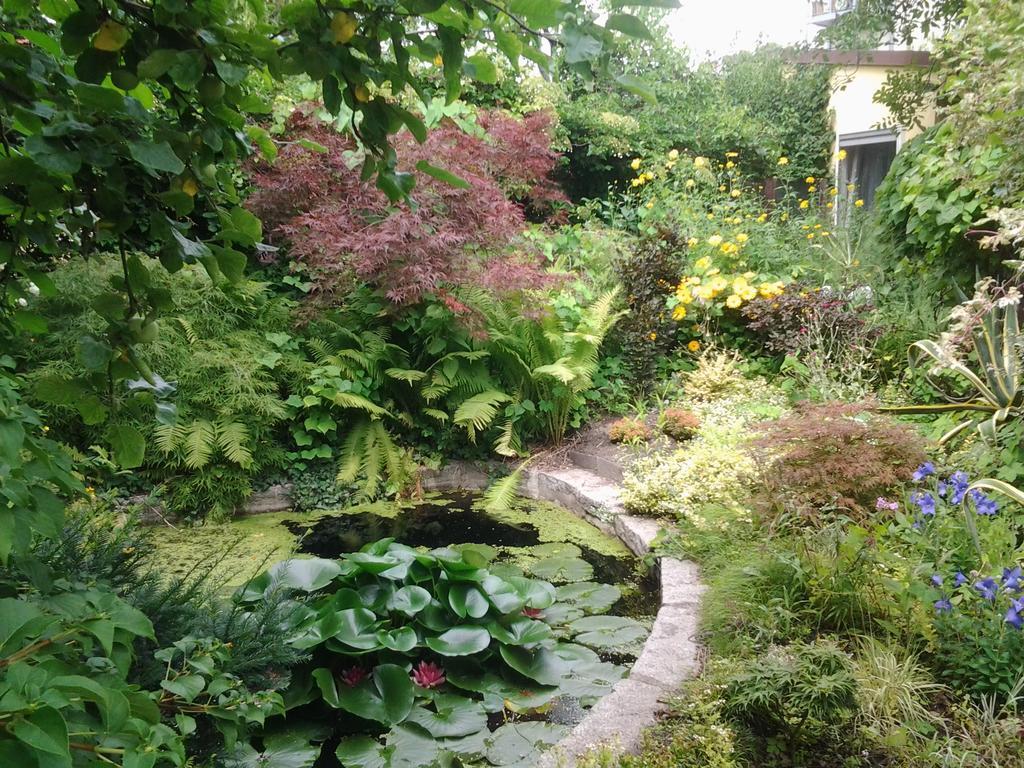 Gartenhaus Steffie Potsdam Esterno foto